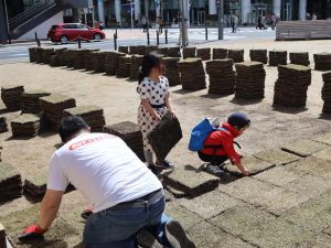 土地に芝生を植えるところからとよしばは始まった