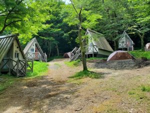 町営のキャンプセンターをリノベーションしたロッジエリア。全室エアコン付きで快適に過ごせる。１棟20～25m2のタイニーロッジと、6人まで利用できるファミリーロッジ（約50m2）が用意されている（写真提供：RECAMP養老）