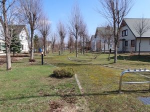 1985年に「写真の町」宣言をした北海道東川町。写真映りのよい町にするため、外観の統一された住宅が並ぶなど景観も大きく変わった。写真文化が根付いてきた町に共感し、移住する人が年々増加している。