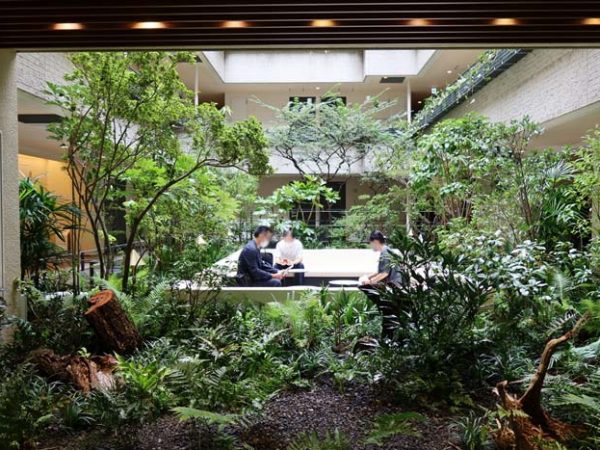 エントランスを入って正面が中庭。内覧会時の写真なので見学者が入っている