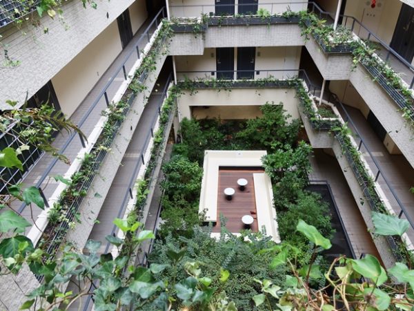 エントランスを入って正面が中庭。内覧会時の写真なので見学者が入っている