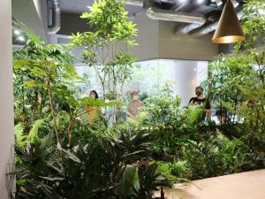 ワークスペースの入り口から奥を見たところ。奥が低くなっており、中庭に面している