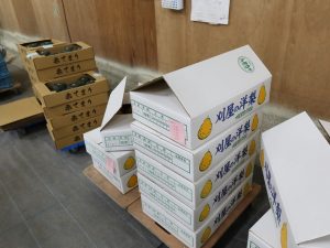 使われなくなった倉庫を利用した野菜の集積所。鶴岡周辺では野菜から果樹までさまざまな農産物が収穫される