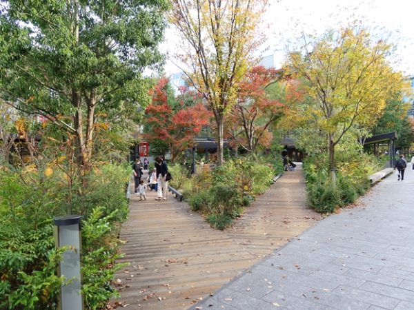 グリーンスプリングス2階の中庭。池や緑、東屋が配されており、散策が楽しい