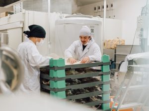 作業風景。コンパクトな醸造所だが生み出す酒の人気は幅広い