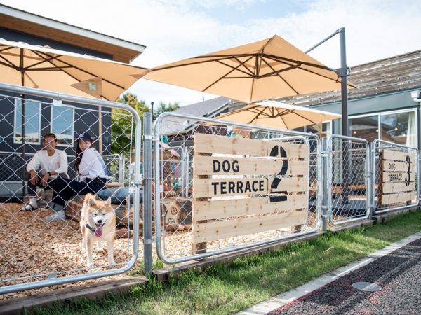 オープニングイベントでは、東海地方では昔から行われていた菓子まきや餅まきを開催。花火大会やハロウィンなど季節ごとの祭りで地元の人たちでにぎわったそう