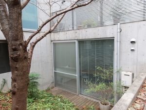 7丁目PLACEから見たやどり木。手前が桜の木