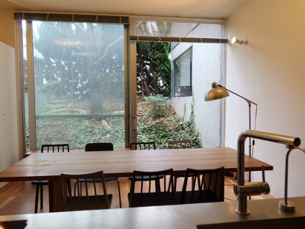 7丁目PLACEから見たやどり木。手前が桜の木