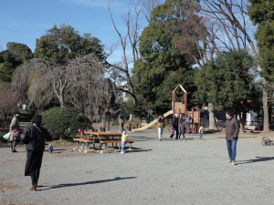 善福寺池のほとりには遊具もあり子ども連れも多い
