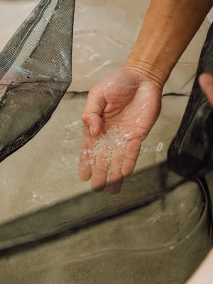 現在も米はこのときに縁ができた大潟村の自然栽培米を使っている