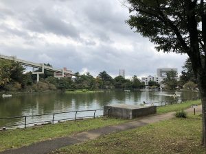 地域との連携や回遊性を高めるため、園内道路の見直しや周辺地域も含めた一体的な整備が計画されている