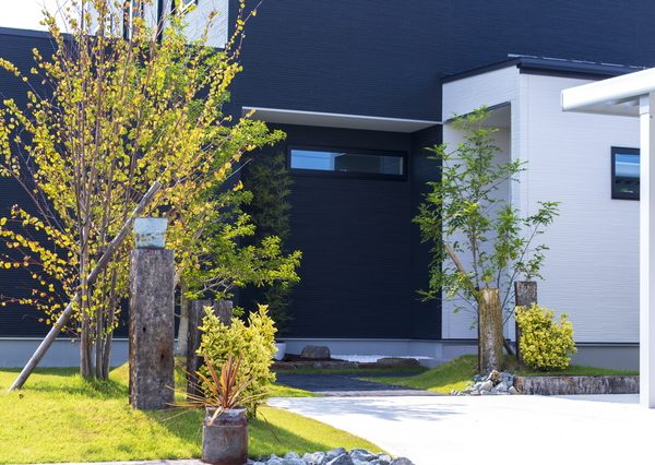 生垣や目隠しにする樹木とシンボルツリーにする樹木では、選ぶ種類が違う