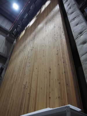 外壁の素材による劣化状況の違いも、実物で検証することで正確なデータが手に入る