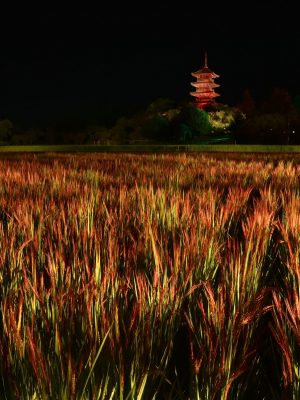 総社市の小学校の給食の味を再現。