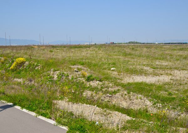 グリーンフィールドの一つである夢洲