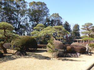 市川大野駅から徒歩5分の位置にある万葉植物園。「万葉集」に登場する植物が植栽され観賞できる日本庭園である