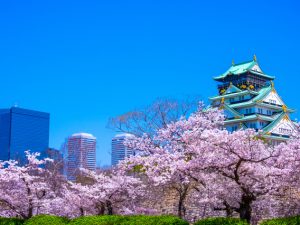 全国に先駆けて、本格的なスーパーシティを目指すことになった大阪市