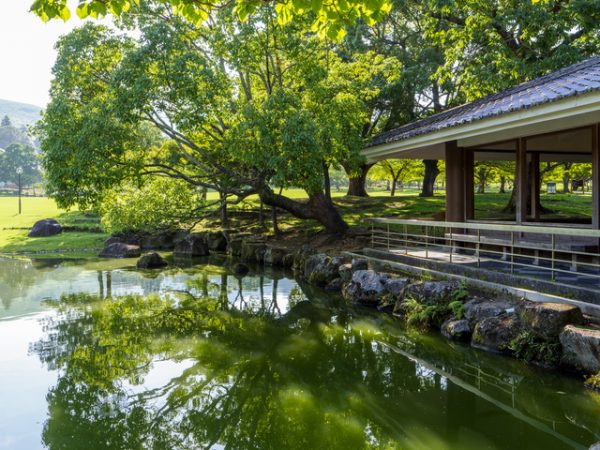 春日野にあったという氷室と氷池