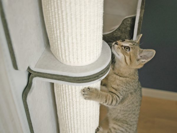 マグネット式なので自由に移動ができるキャットウォークのシステム。8kgの体重の猫がジャンプすることを想定して耐荷重性能を設定している（猫壁-にゃんぺき/LIXIL）https://www.lixil.co.jp/lineup/s/catwall/