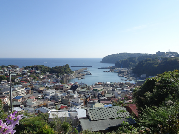 真鶴の山から海を見下ろす