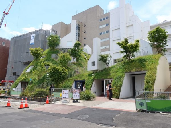 前橋の認知度を一気に上げた白井屋ホテル。ここを目的として前橋を訪れる人が増えた