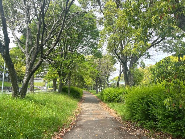 北大阪急行電鉄「千里中央」駅から千里中央公園までの道