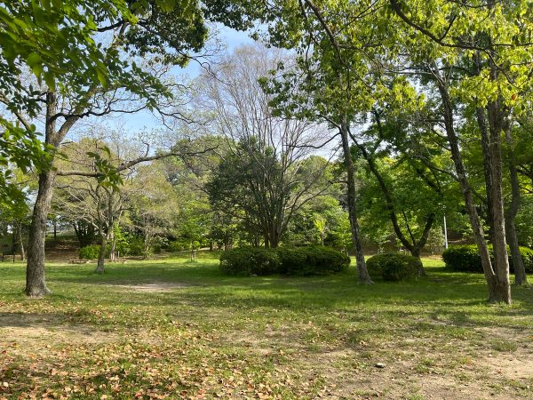 北大阪急行電鉄「千里中央」駅から千里中央公園までの道