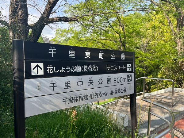 北大阪急行電鉄「千里中央」駅から千里中央公園までの道