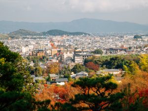 京都市の非居住住宅利活用促進税、いわゆる空き家税について、専門家に意見を聞いた
