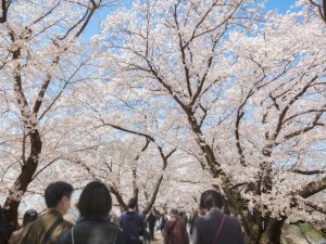 海外・国内を問わず観光客も各地で増加（画像はイメージ）