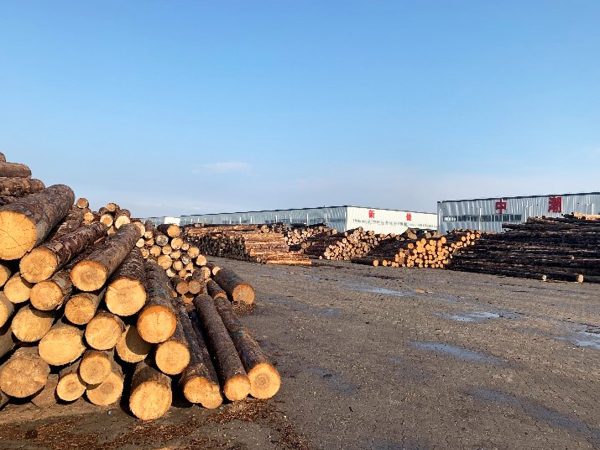 カナダの工場で生産されている2×4住宅に使われる主要樹種のSPF材。ウッドショックのリバウンドで値下がりをしているという