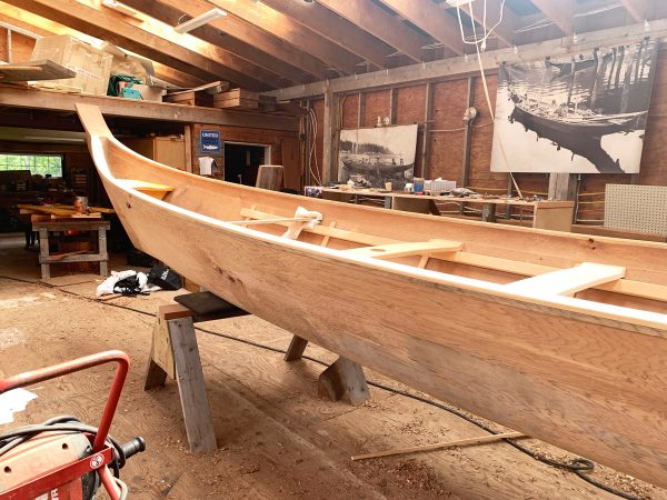 うっそうと茂る木々。カナダの森。左に見える大きな木がウエスタン・レッド・シーダー。後ろの方には、ヘムロック（米栂）も