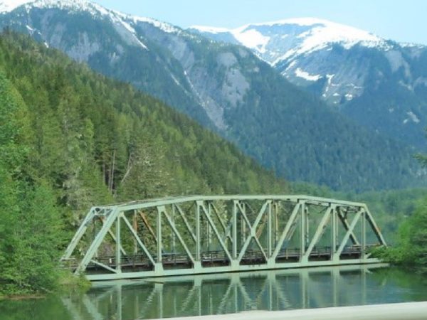 うっそうと茂る木々。カナダの森。左に見える大きな木がウエスタン・レッド・シーダー。後ろの方には、ヘムロック（米栂）も