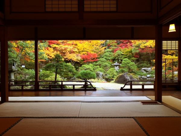 門を入ったところ。瀟洒な雰囲気の玄関が見えてくる