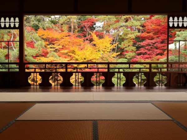 市民活動で残された豪商の館「新潟市旧齋藤家別邸」に湊町新潟の文化の