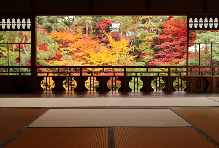 市民活動で残された豪商の館「新潟市旧齋藤家別邸」に湊町新潟の文化の