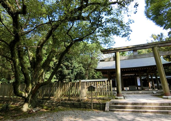 日前国懸（ひのくまくにかかす）神宮