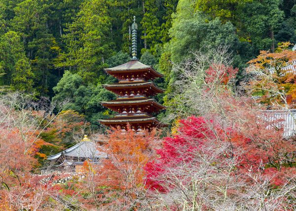 奈良県明日香村キトラ古墳