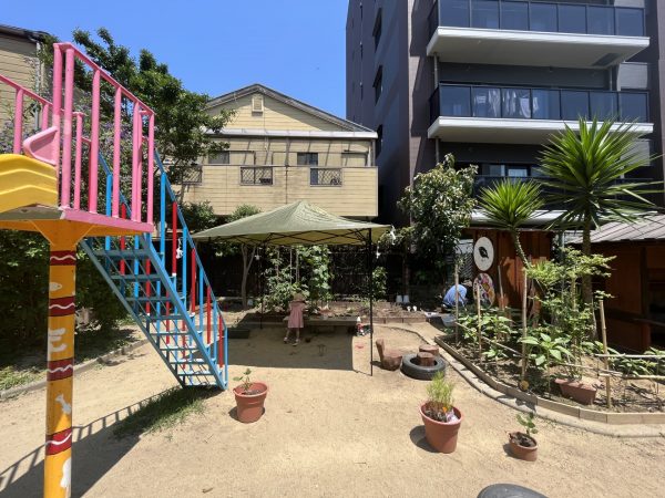 夏野菜がたくさん植えられて、奥の壁にはブドウが実っていた