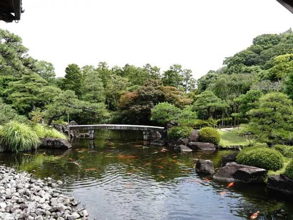 御屋敷の庭。大池には錦鯉が約250匹いるという。卵を産み、ふ化し、立派に成長してと、生態系を作っている