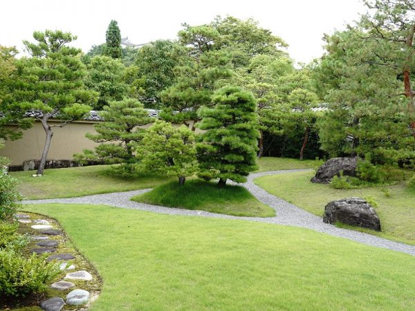 御屋敷の庭。大池には錦鯉が約250匹いるという。卵を産み、ふ化し、立派に成長してと、生態系を作っている