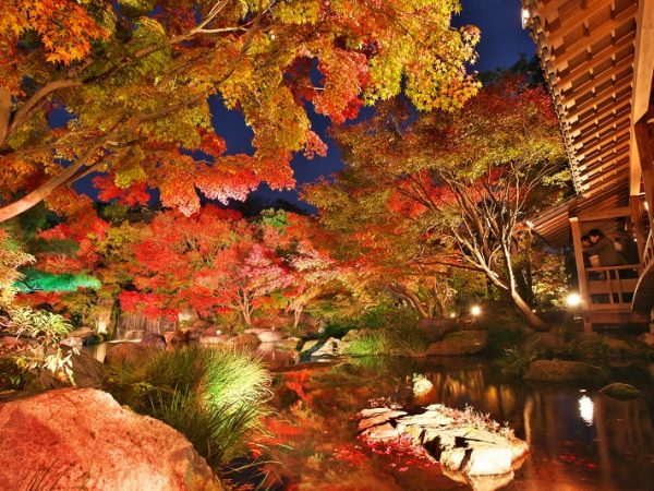 御屋敷の庭の紅葉。池面にも映り込んだ美しさは圧巻のひと言（写真提供：好古園）