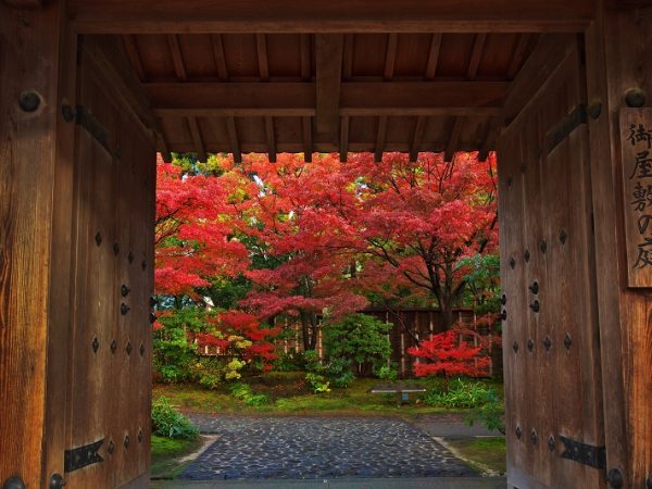 御屋敷の庭の紅葉。池面にも映り込んだ美しさは圧巻のひと言（写真提供：好古園）