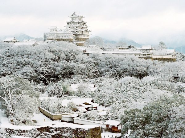 取材にご対応くださった好古園副園長の八木章徳さん。園内で今関心がある場所は茶の庭だとか。「茶室という場所や考え方が面白いと思っています。茶室は数寄屋として、自然の素材の持ち味を生かし、内面を磨いて客をもてなすという茶人たちの精神を反映して造り、そこにお客さまを迎えて茶をたてます。そういった”おもてなし”としての茶の文化は、海外の方にも伝えていきたい文化だと思っています」
