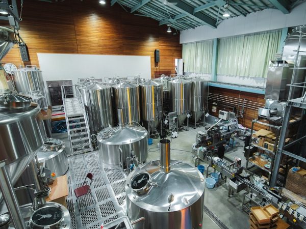 改修前の体育館。天井までの高さがあり、大型の醸造機器を設置するのに最適だった