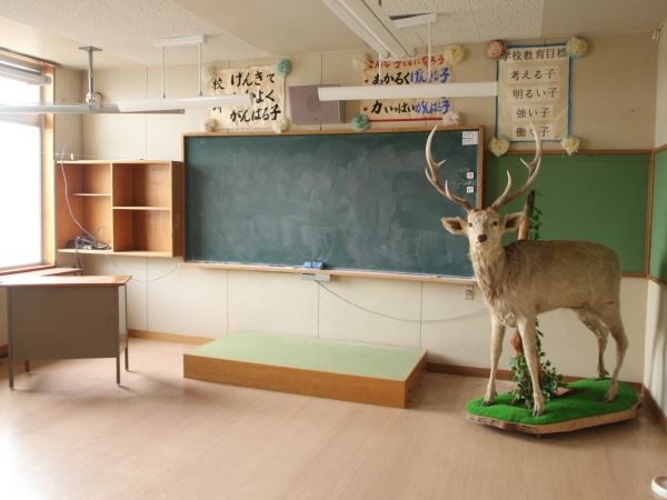 今にも子どもの声が聞こえてきそうな旧校舎