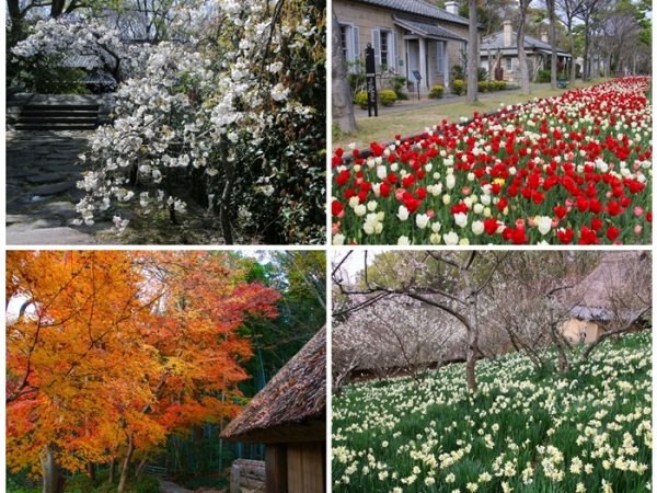琴電屋島駅。外観の色合い、文字などいちいちかわいい。内部も必見