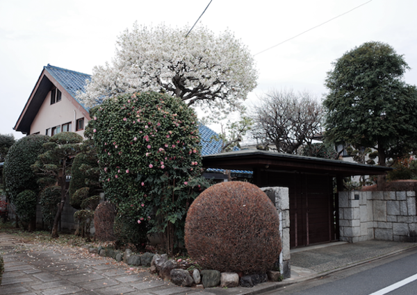 大泉学園の住宅地