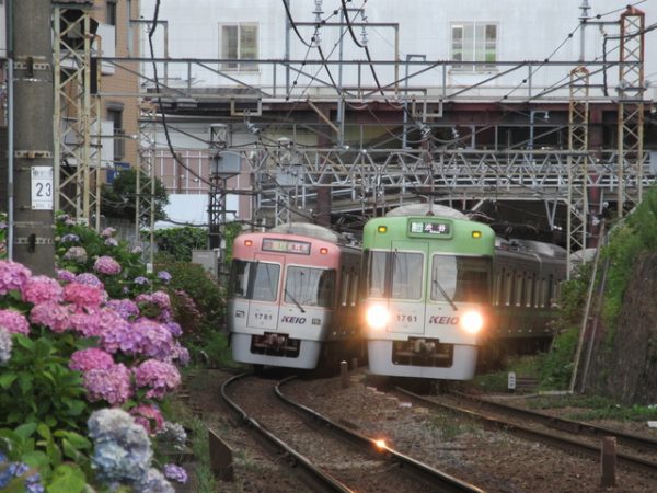 東京山手急行電鉄