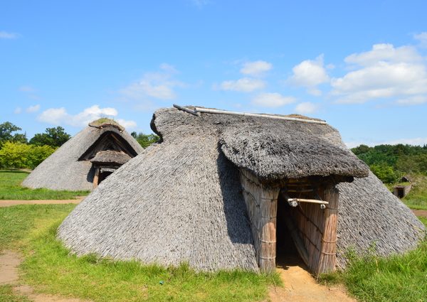 三内丸山遺跡の茅葺き竪穴式住居